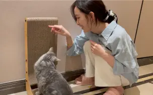 Download Video: vlog自己搬家太累啦！！！｜搬家、收纳、给猫洗澡