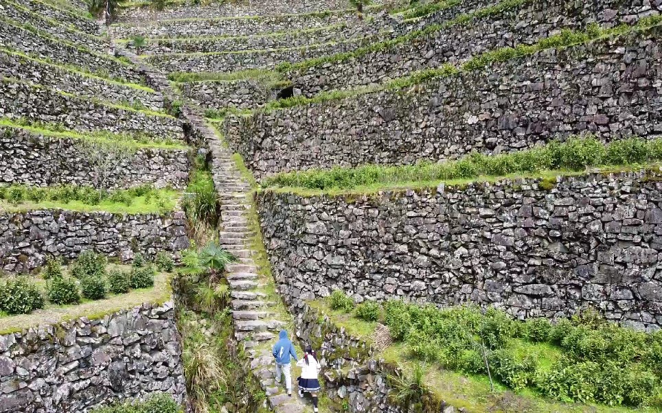 航拍黄山歙县蜈蚣岭梯田