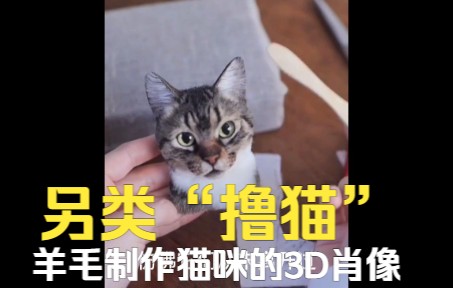 另类“撸猫”,用羊毛制作猫咪的3D肖像,好逼真啊!哔哩哔哩bilibili