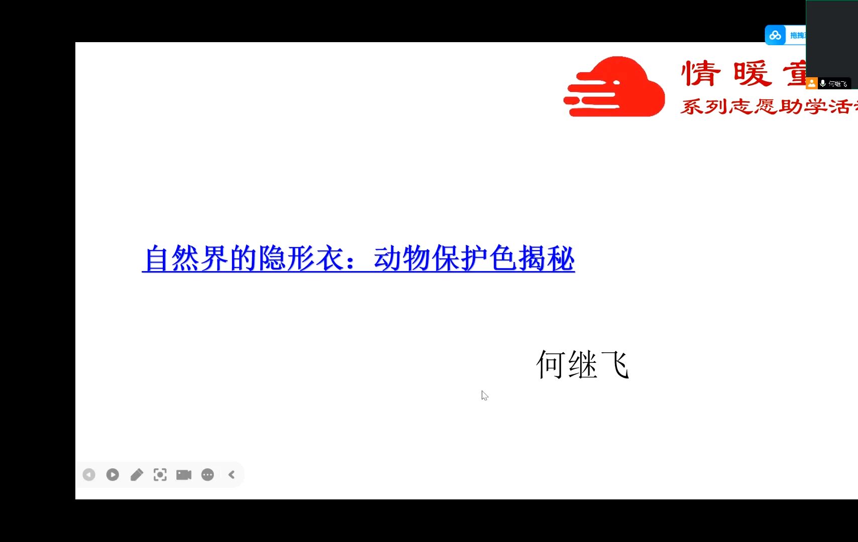 【情暖童心】动物的保护色 | 素质美育