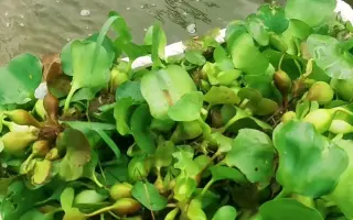 水内清光 搜索结果 哔哩哔哩 Bilibili