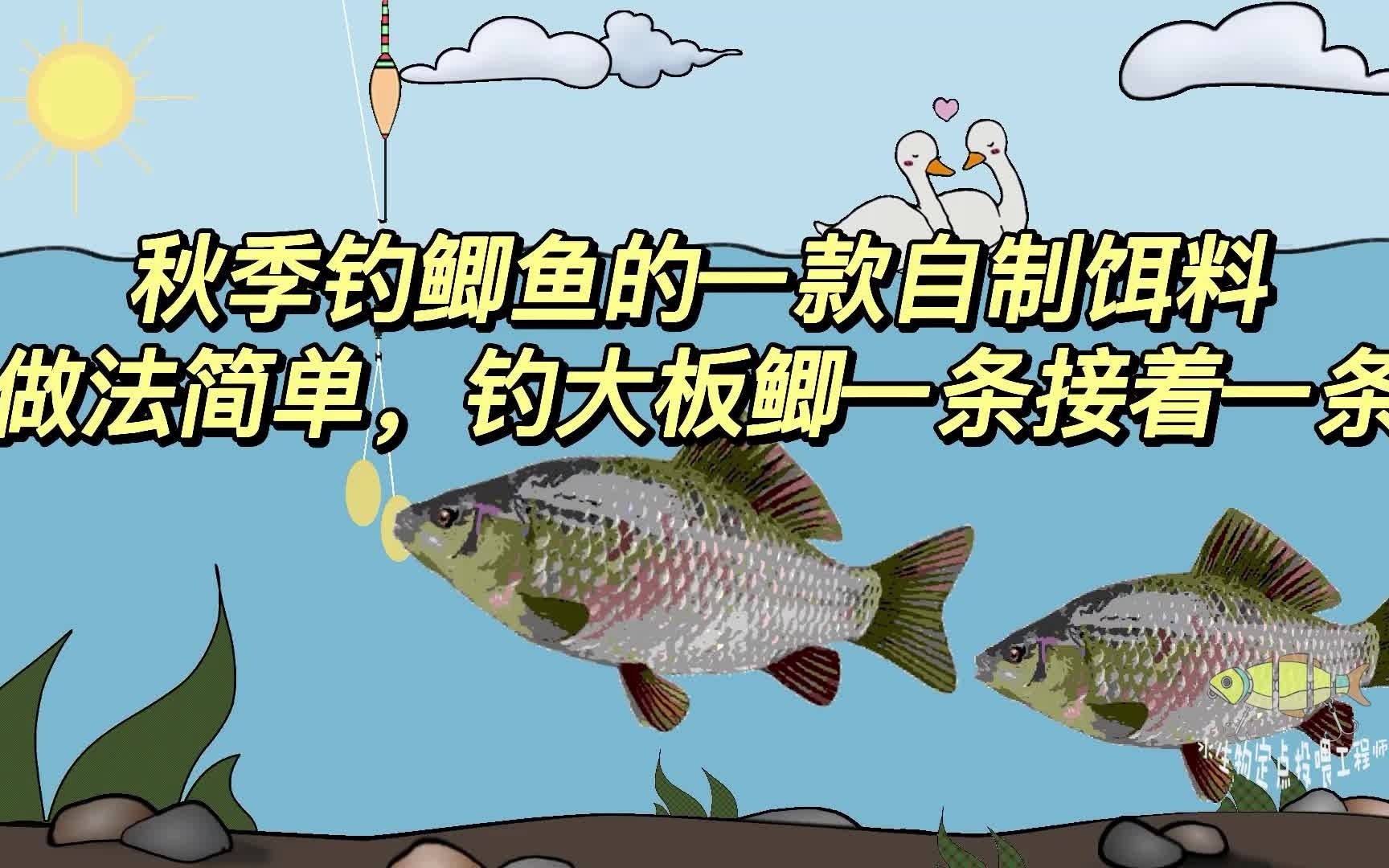 秋季钓鲫鱼的一款自制饵料,做法简单,钓大板鲫一条接着一条哔哩哔哩bilibili