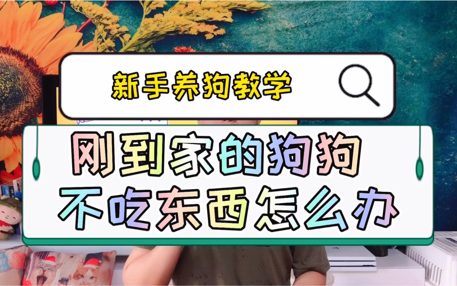 【新手養狗教學】狗狗不吃東西怎麼辦?