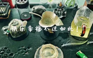 Download Video: 早茶时分