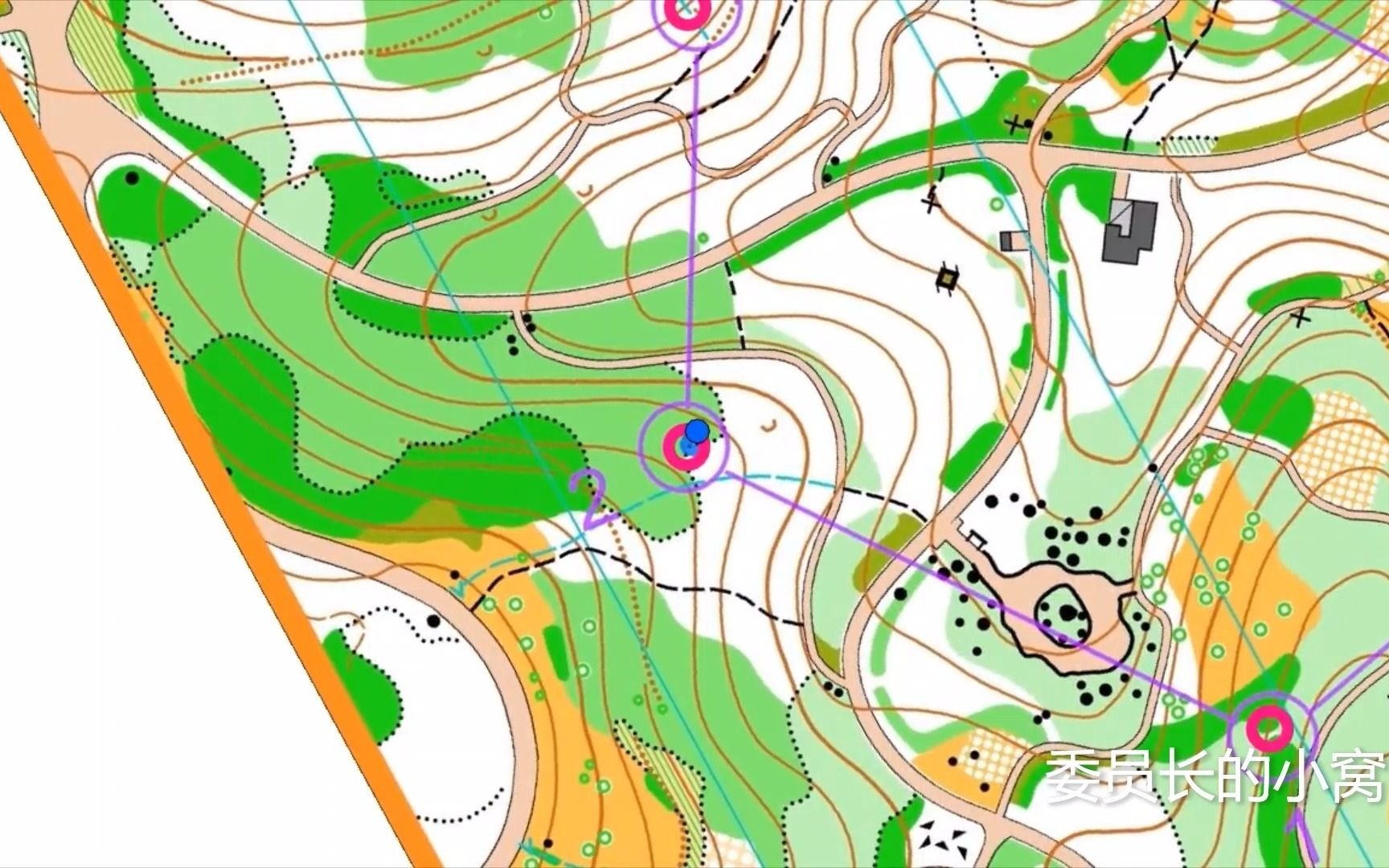 定向越野20210109奥森南园的训练赛