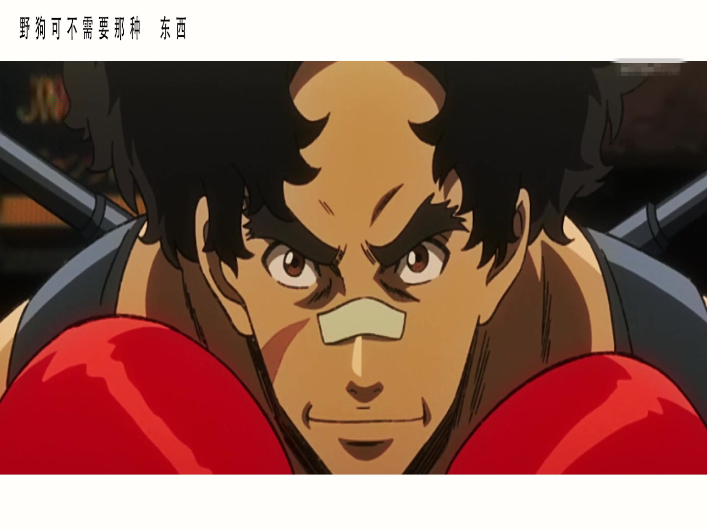 megalobox野狗