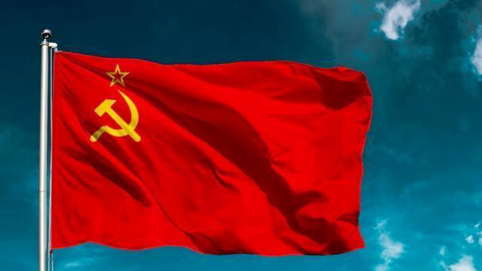 苏维埃红色巨熊图片