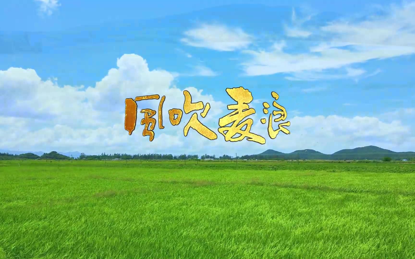 s1311李健孙俪《风吹麦浪》