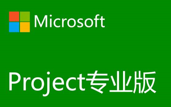 【Project 软件使用系统教程/商务数据管理/帮助项目管理者实现时间、资源、成本的计划、控制/办公信息录入】零接触学习精通哔哩哔哩bilibili