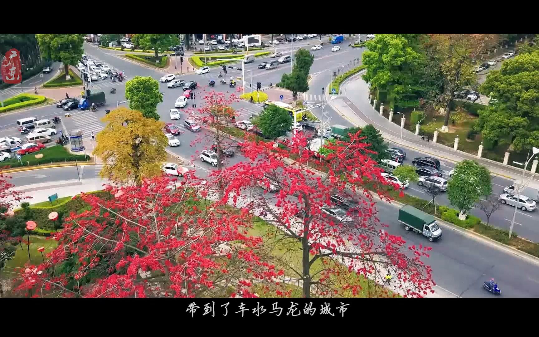 给大自然的情书(第四届中国绿化博览会广东宣传片)哔哩哔哩bilibili