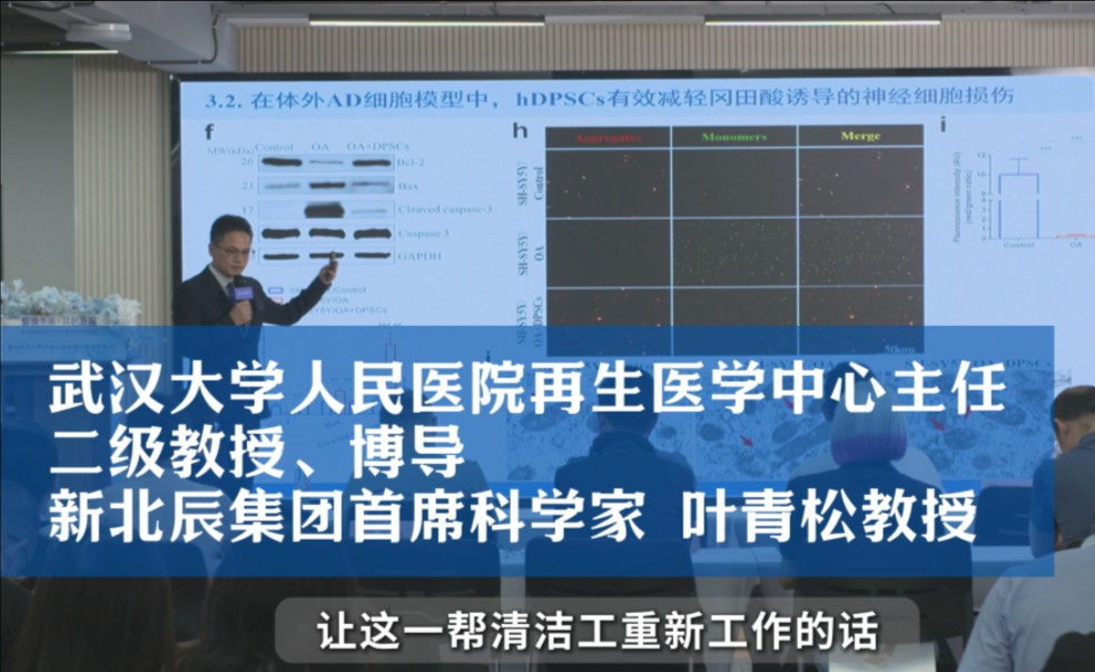 新北辰集团首席科学家叶青松团队在老年痴呆症的研究:牙髓干细胞促进神经再生!哔哩哔哩bilibili