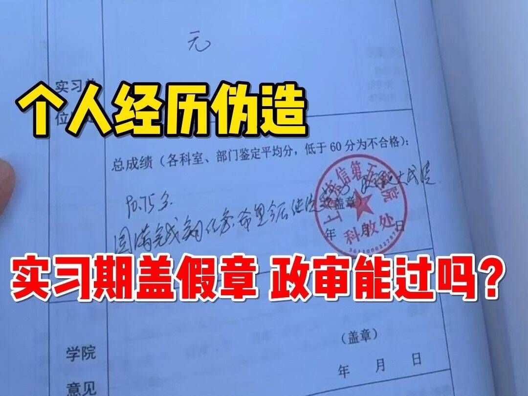 为了帮学校提高就业率,实习期盖假章,结果公务员政审没过....原来政审也不只是走形式...|公务员哔哩哔哩bilibili