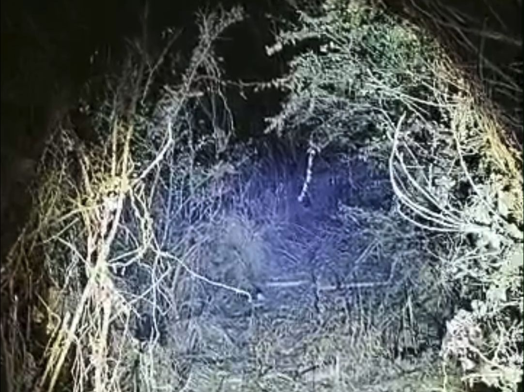 2025-01-09千度户外洋子探险灵异事件(千度平台直播,房间号1818,每晚