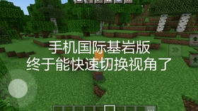 Mcbe手机版 教你如何一键切换视角 哔哩哔哩 つロ干杯 Bilibili