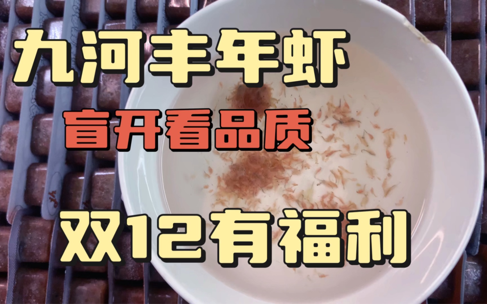 老规矩,九河丰年虾盲开看一下品质.双十二丰年虾的活动来了
