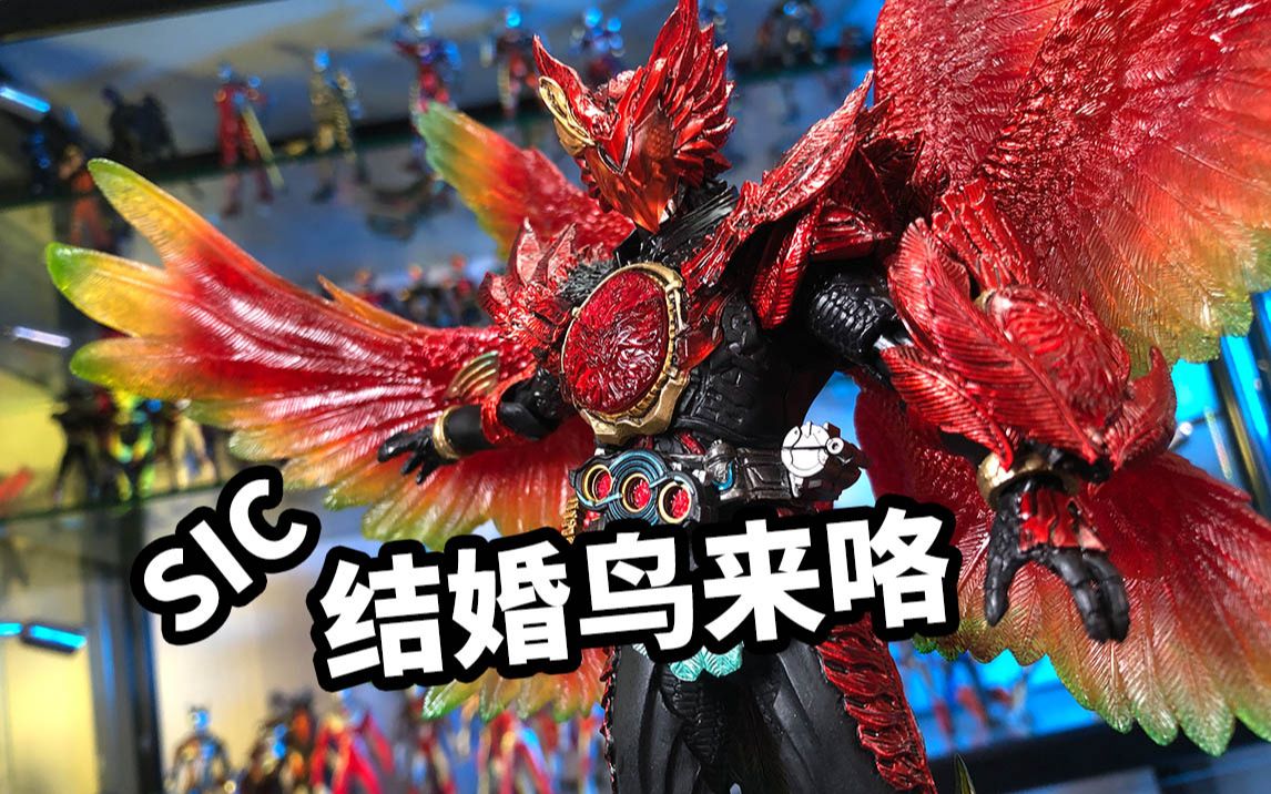 【模玩浅谈:假面骑士sic结婚鸟】_哔哩哔哩_bilibili