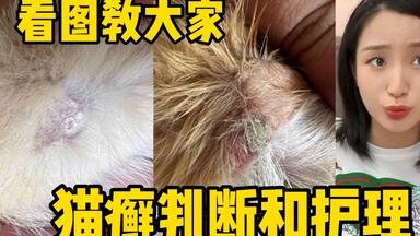 超详细，<em class="keyword">猫癣</em>的判断和处理！包教会