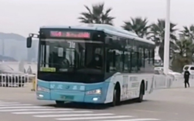 厦门档案线路:鹭城的第一款金旅纯电——护张嘉卉号金旅xml6105jevd0