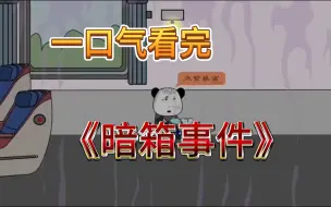 Download Video: 【规则怪谈】——《暗箱事件》一口气看完！