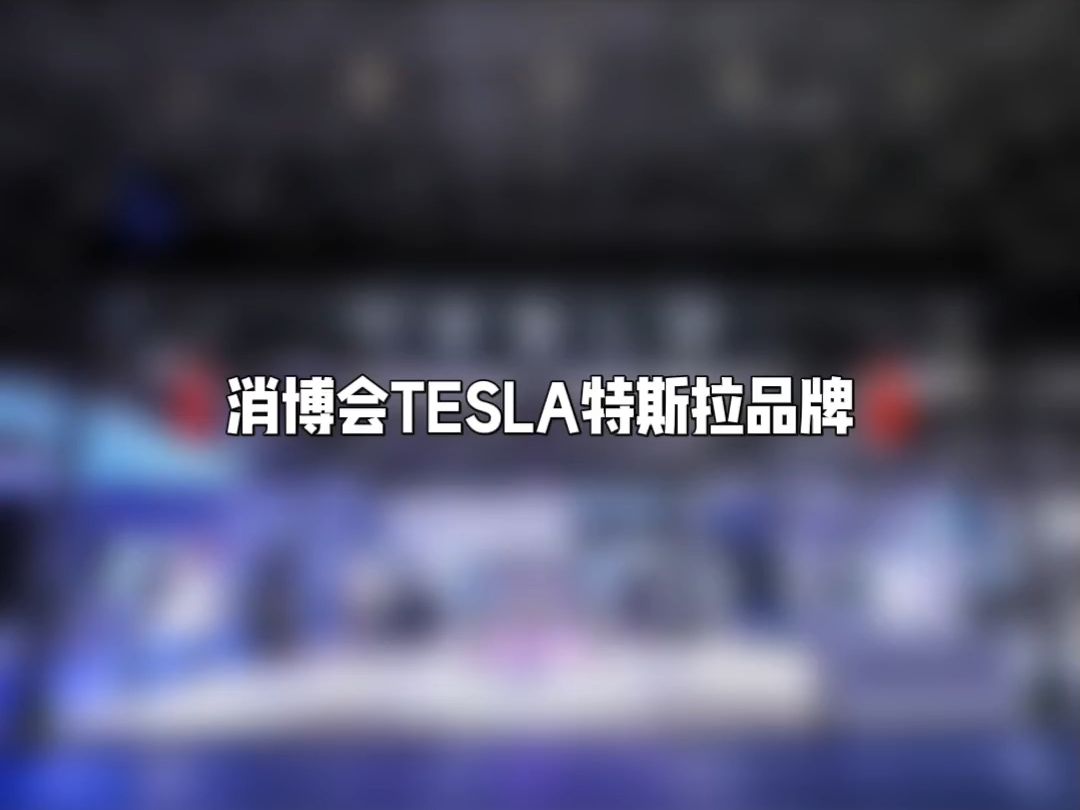 消博会TESLA特斯拉品牌哔哩哔哩bilibili