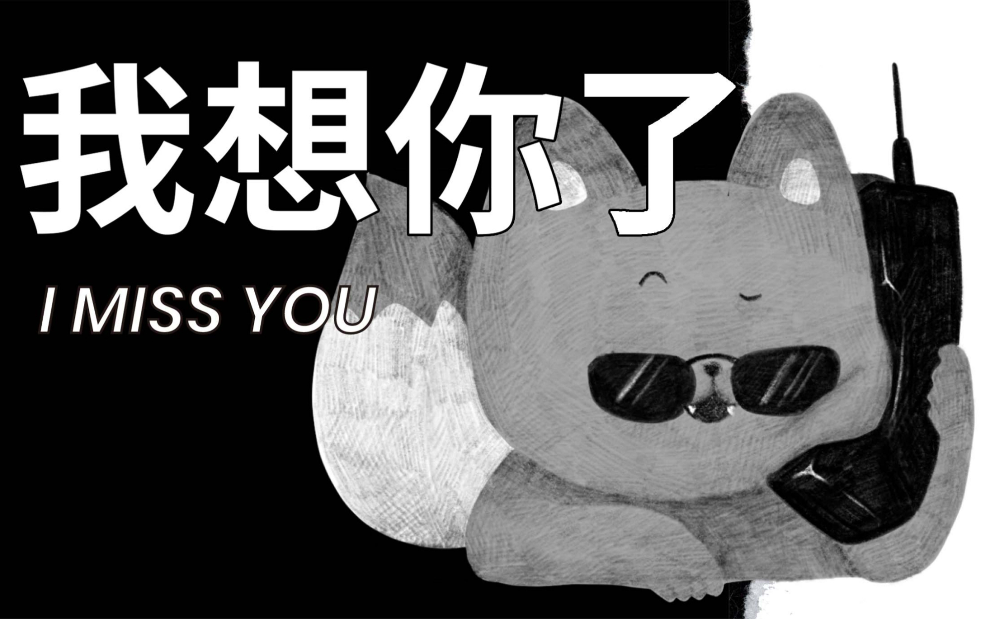 想问你 B站