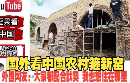 [图]国外看中国农村箍新窑 外国网友：大家都配合默契 我也想住在那里