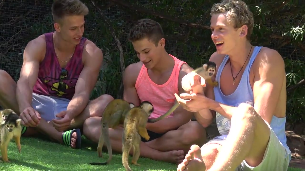 belami tour barcelona