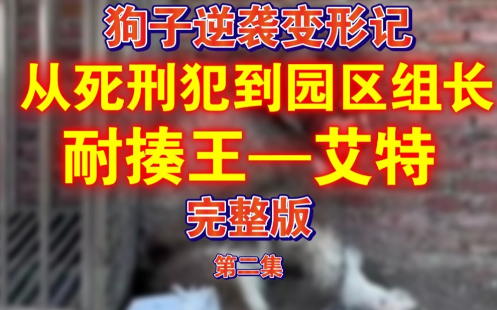 [图]【潘宏园区】狗子逆袭变形记！耐揍王-艾特！完整版 第二集！罗威纳犬持续打击艾特自信心 半拉柯基友情客串