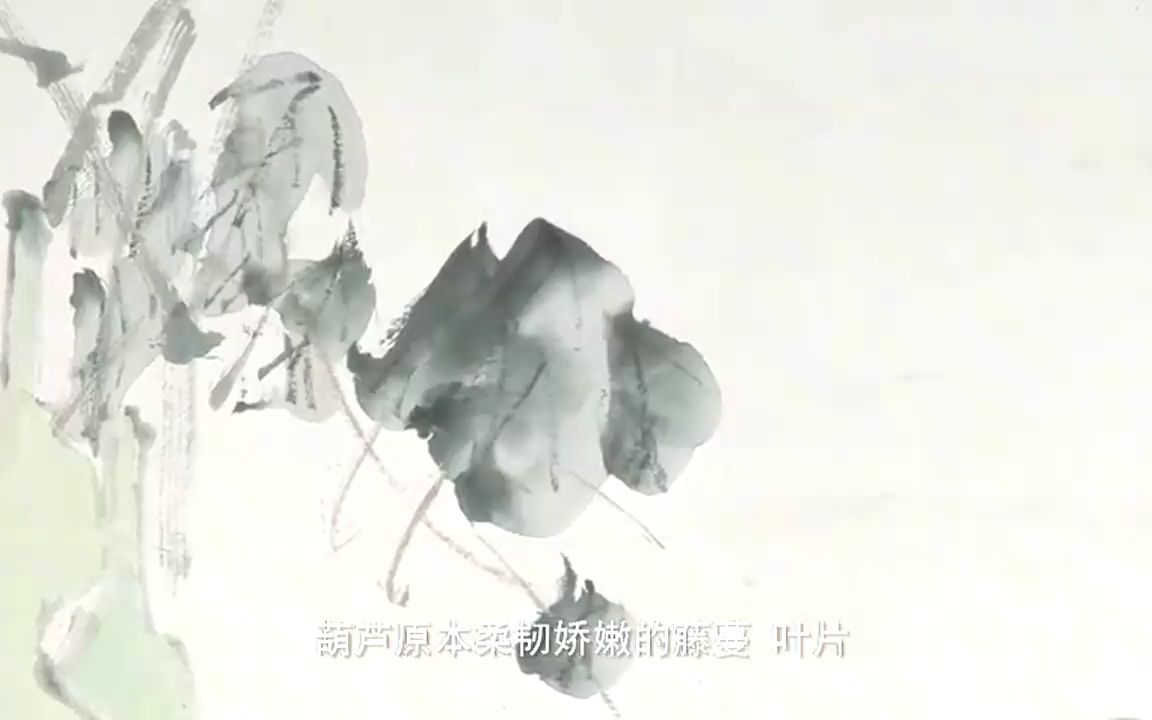 每日中华名画虚谷《葫芦图》哔哩哔哩bilibili