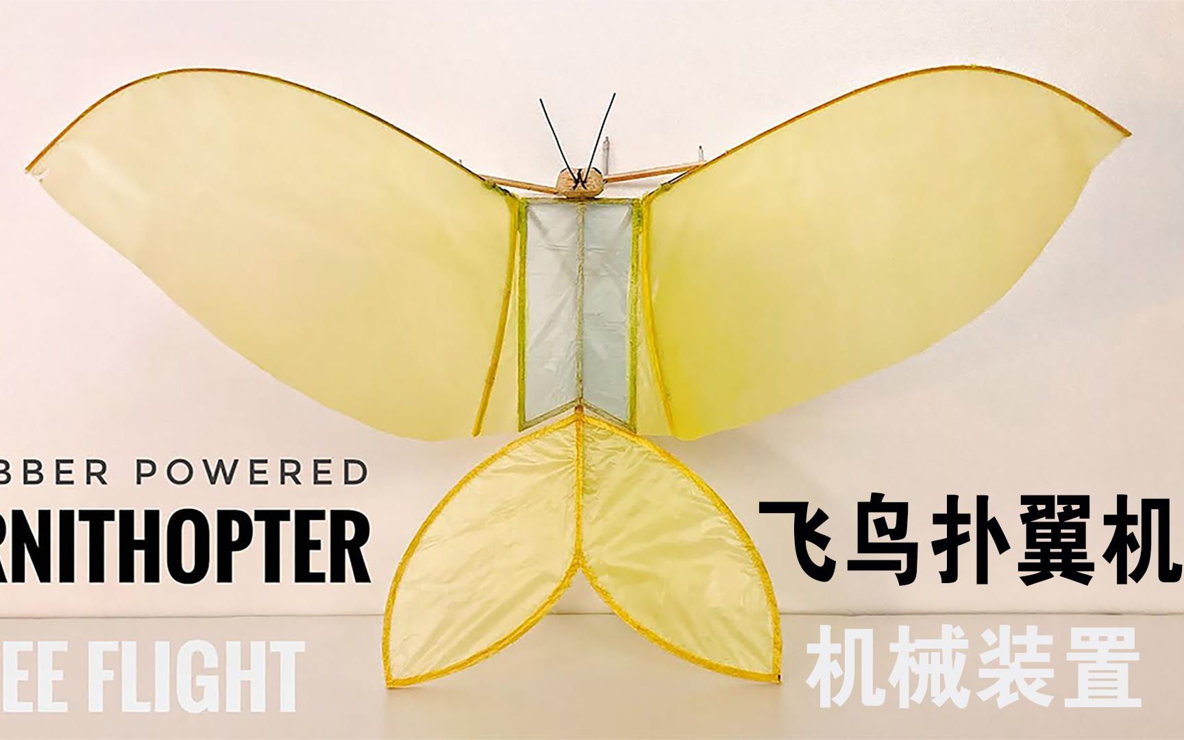 科学照进现实系列!自制"智能鸟"橡胶动力扑翼机