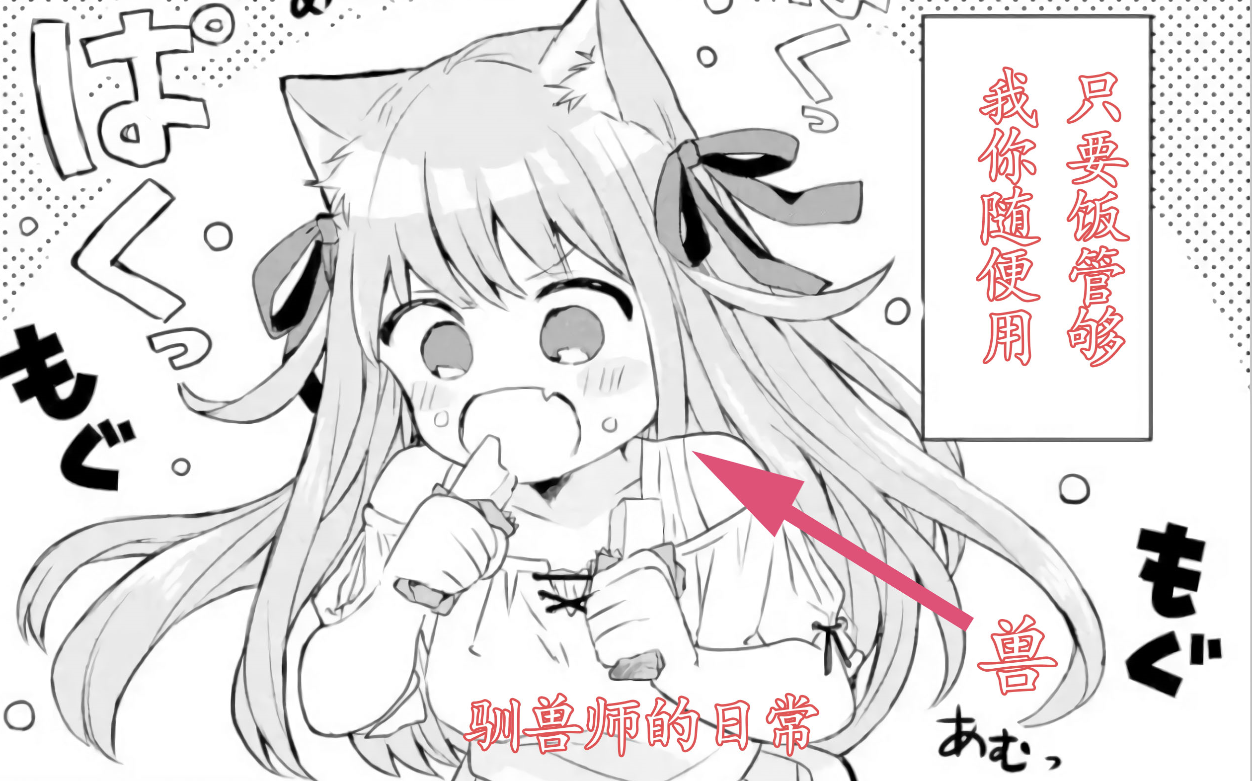 【小猫咪1】我把你当朋友,你却把我当主人!哔哩哔哩bilibili