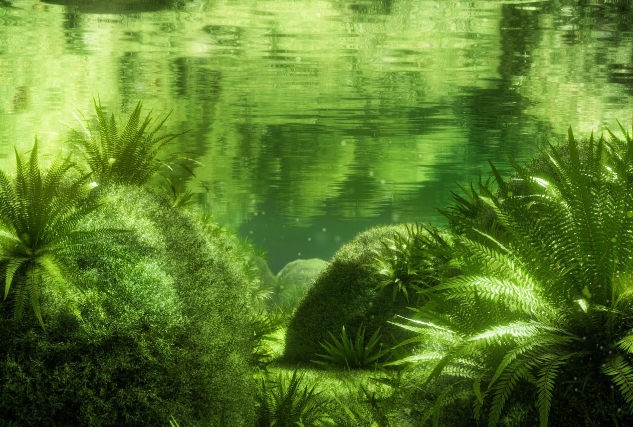 c4d&oc渲染器【水下场景渲染案例】