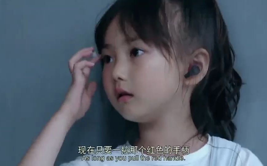 动物出击:忠犬布鲁斯炸毁毒船,用自己的命保护了海洋万千动物