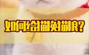 Descargar video: 猫粮多久换一次？如何给猫换猫粮？看到最后你就知道了~