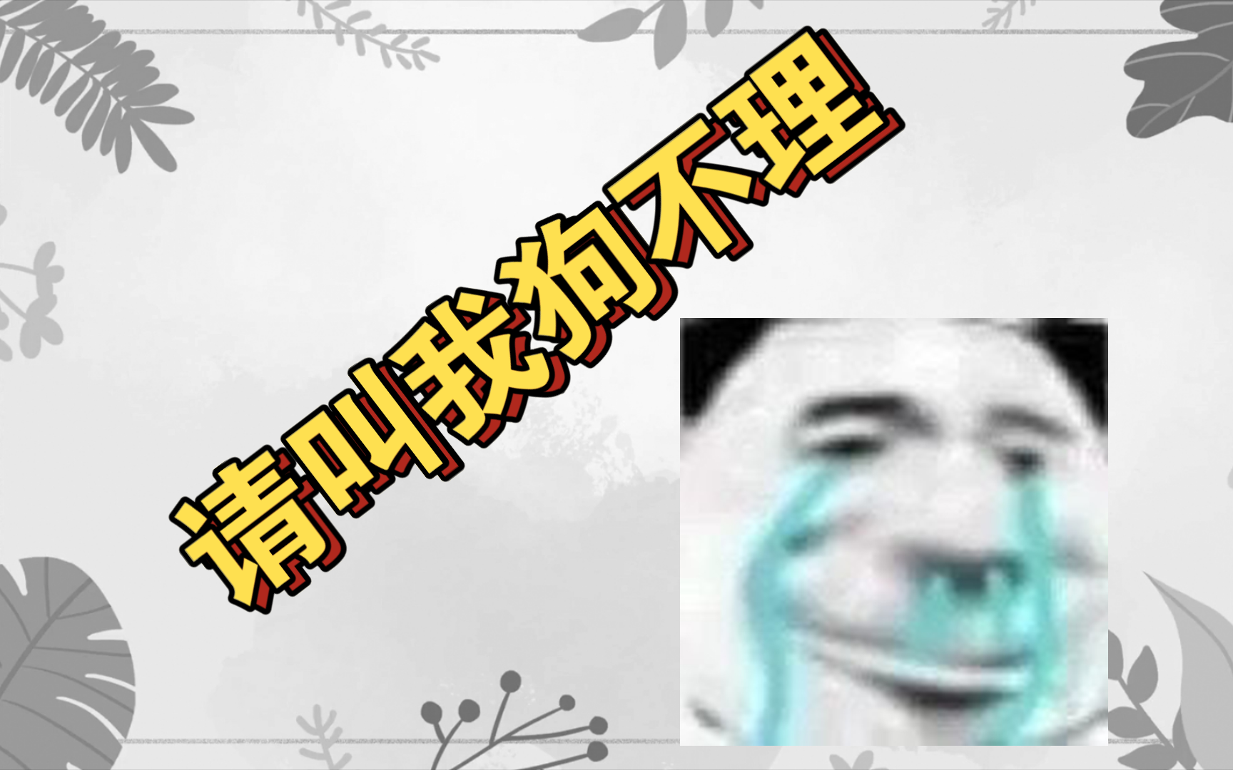 【萌宠】欢迎收看校园小狗和狗不理