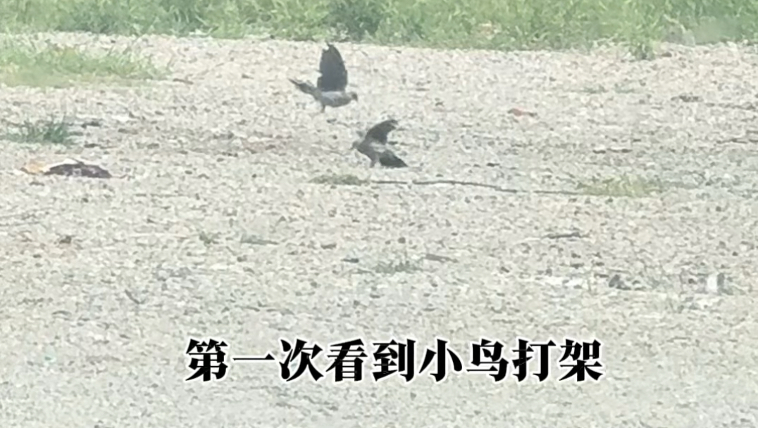 江阴一日游