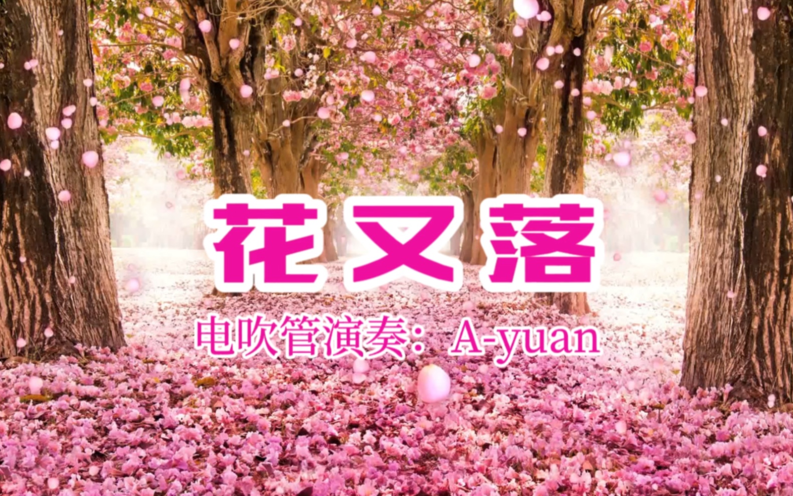 电吹管《花又落》be调