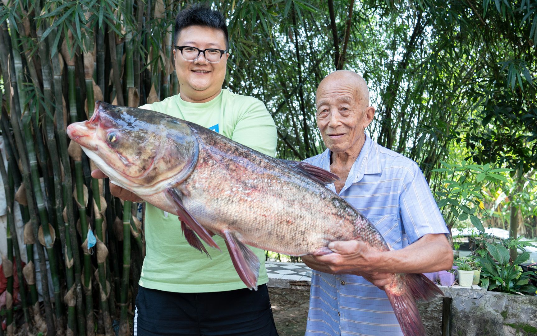 阿米买了一条32斤大花鲢巨物,给阿公做两个口味,鱼头胶质满满好巴适哔哩哔哩bilibili