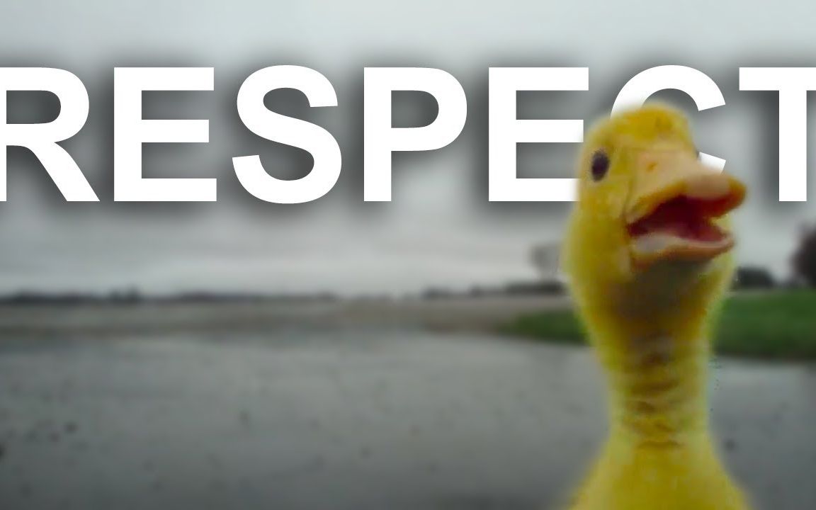 法国猫鸭片瑞思拜respect中法双语字幕