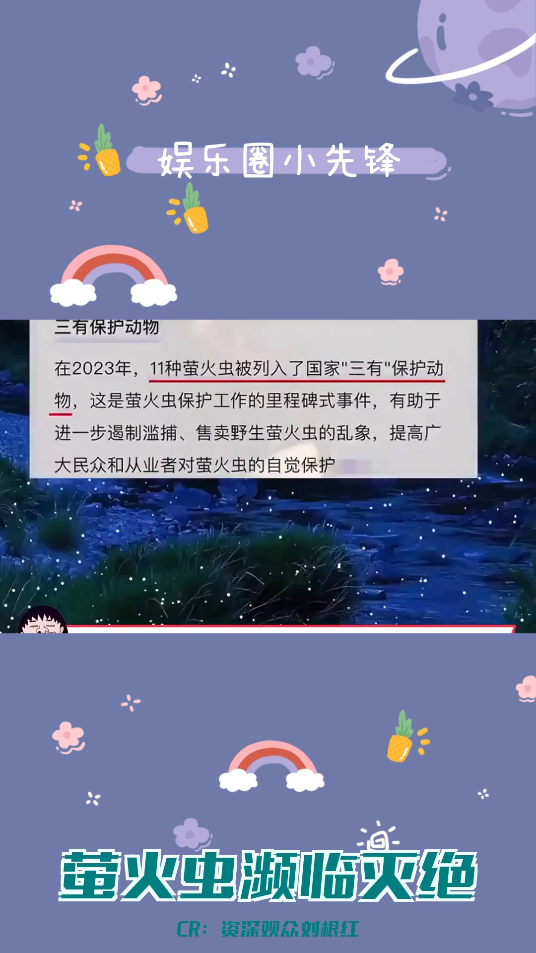 萤火虫被列为国家保护动物:消失的童年之光哔哩哔哩bilibili