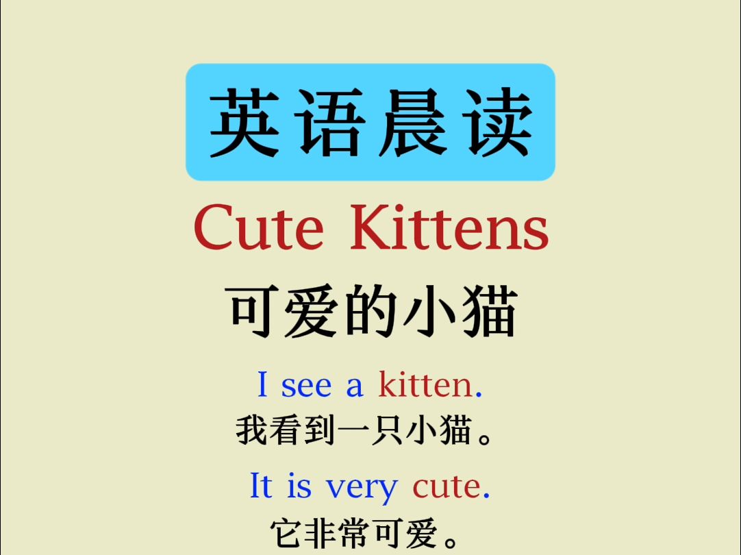 每日英语小短文 | cute kittens