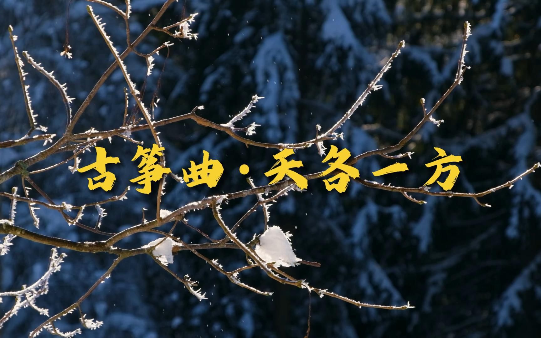 古筝曲天各一方,良友远离别,各在天一方纯音乐推荐分享