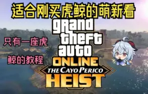 Download Video: 【GTAOL】刚买到虎鲸不会玩？佩岛真萌新必看！从购买、侦察、前置到分红！外加无限分红和尿壶换粉钻教程 (已完结)