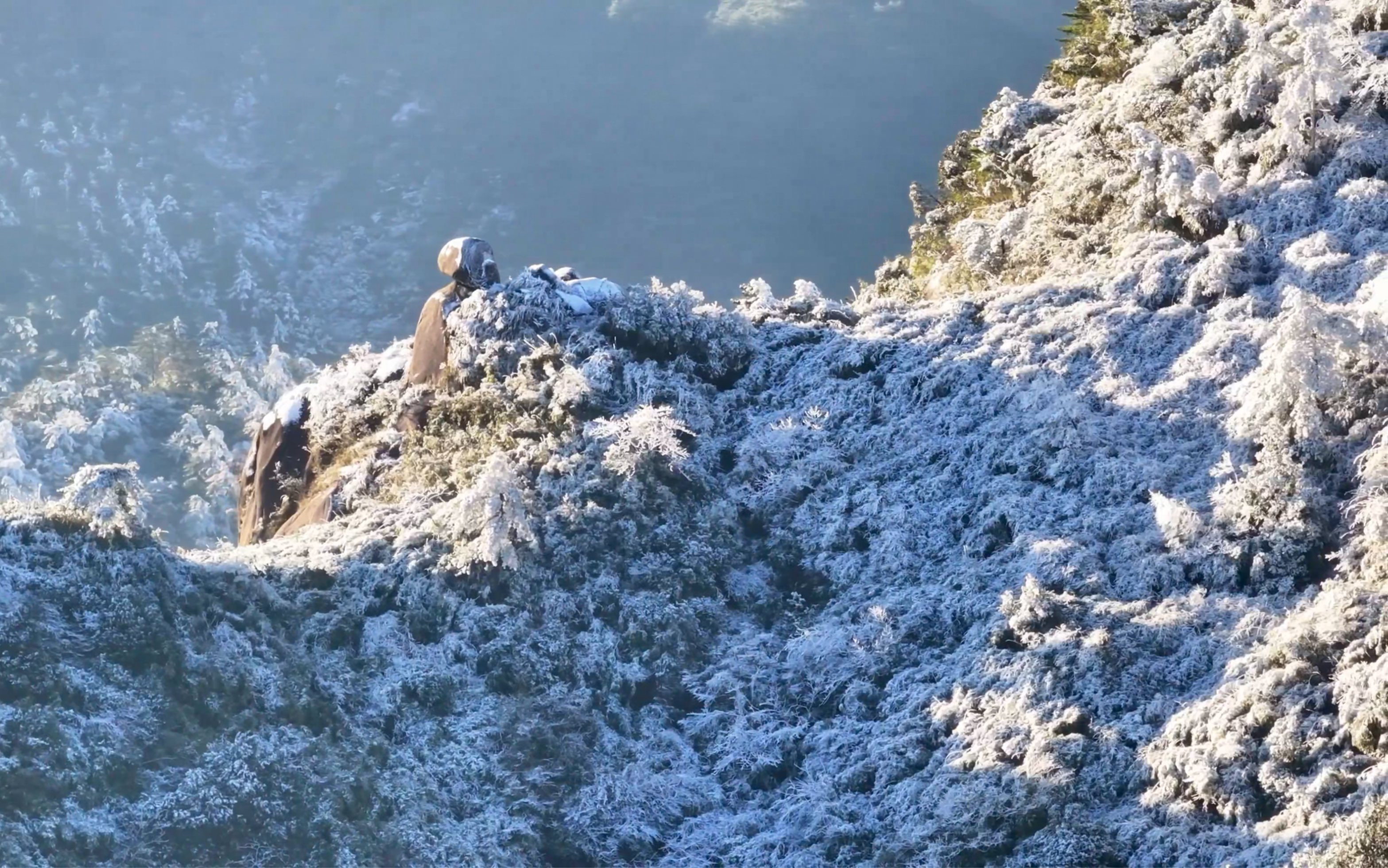 武夷山下雪了图片