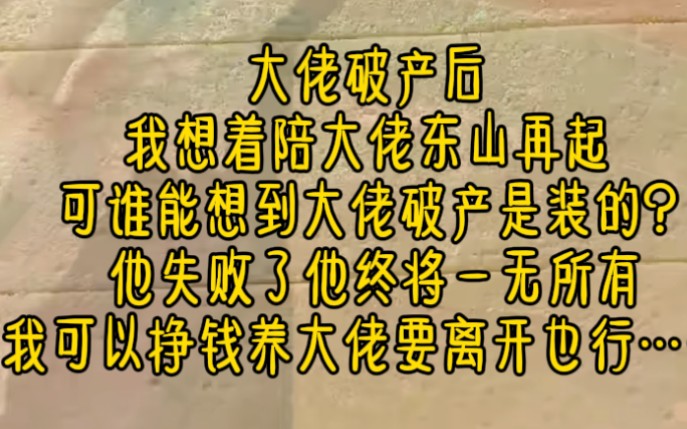 大佬破产后,我想着陪大佬东山再起,可谁能想到大佬破产是装的?他失败了,他终将一无所有,我可以挣钱养大佬,要离开也得哔哩哔哩bilibili