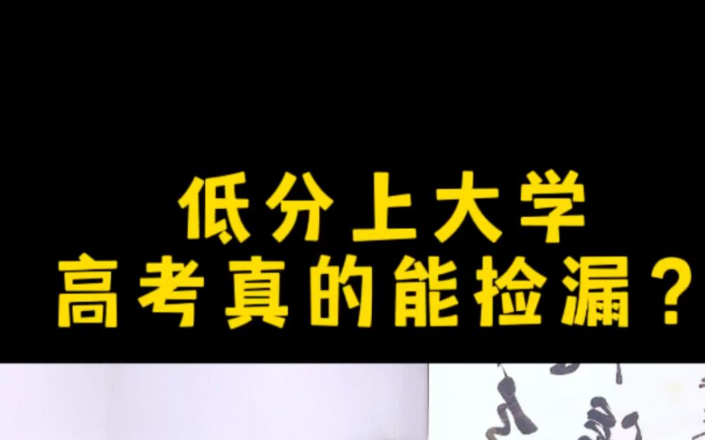 低分上大学,高考捡漏可行吗?武汉工程大学中外合作办学是性价比很高的选择哔哩哔哩bilibili