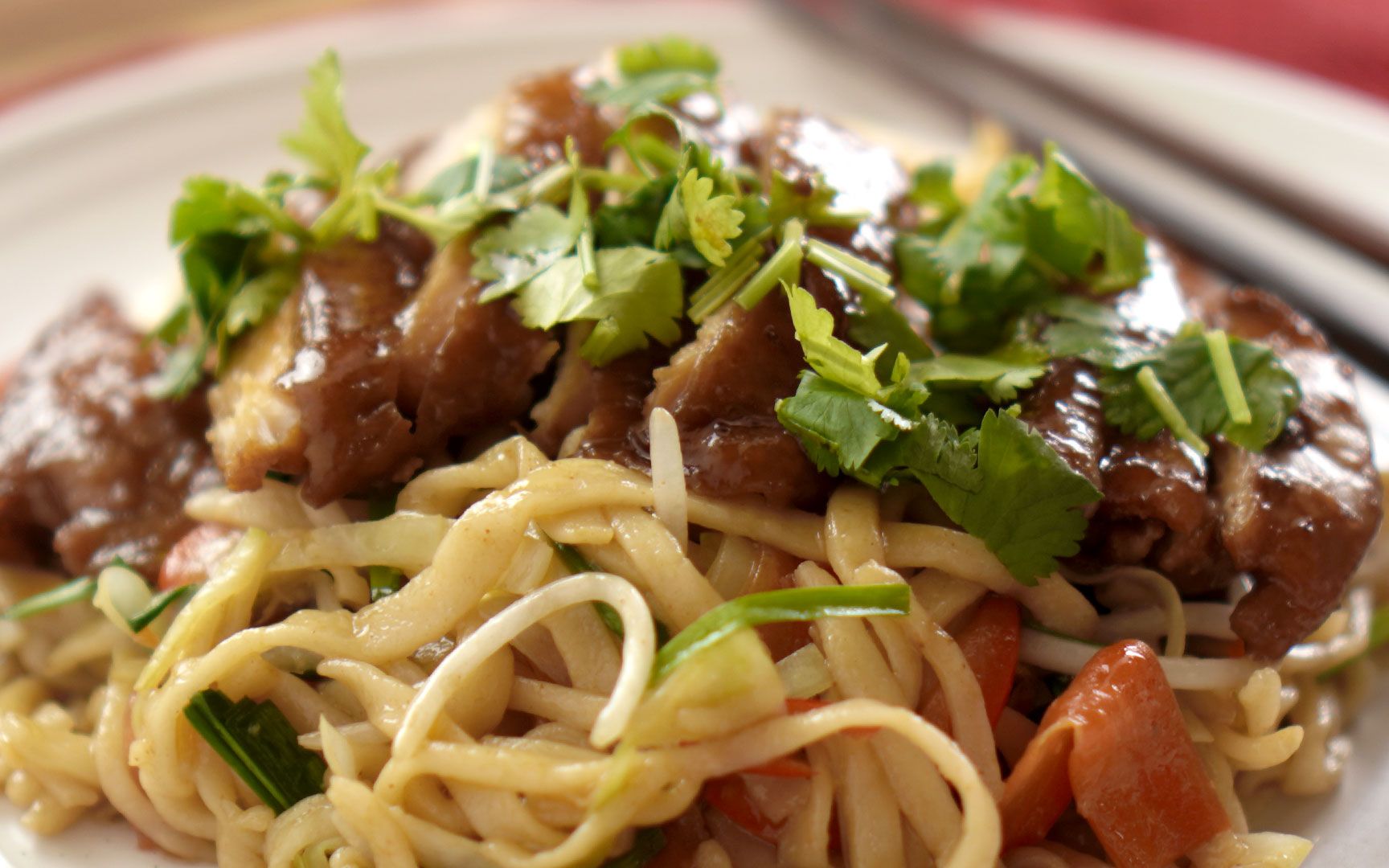 teriyaki chicken chow mein - 照燒雞肉炒麵_嗶哩嗶哩 (゜-゜)つロ