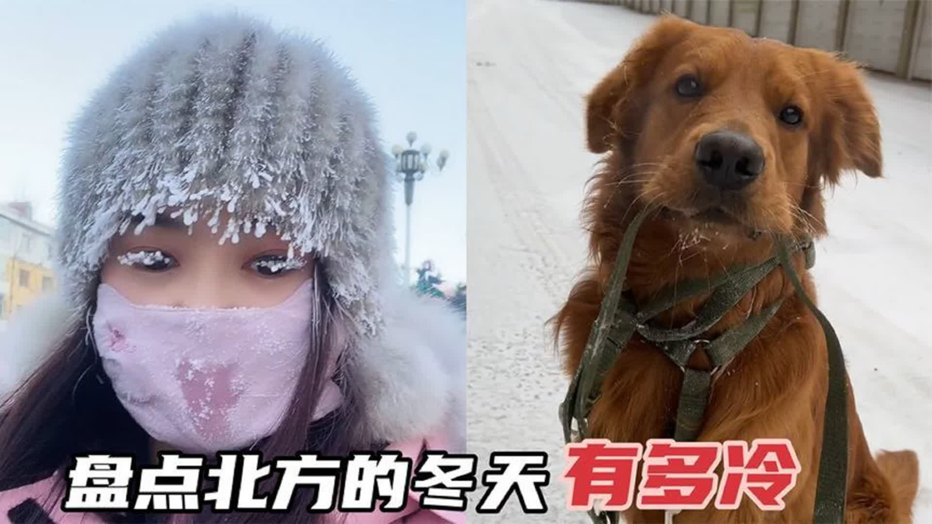 盘点北方的冬天有多冷,路灯杆都冻得发抖,不敢拿块豆腐撞自己