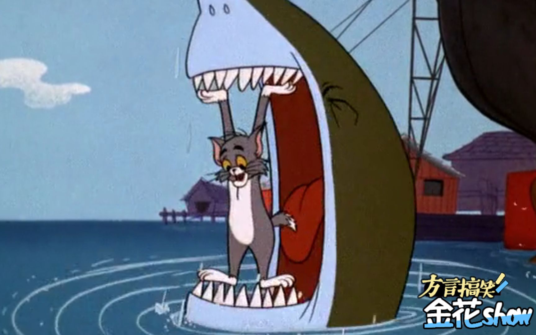 搞笑四川话创意配音:猫和老鼠遇到幽默四川话,笑了还想笑!