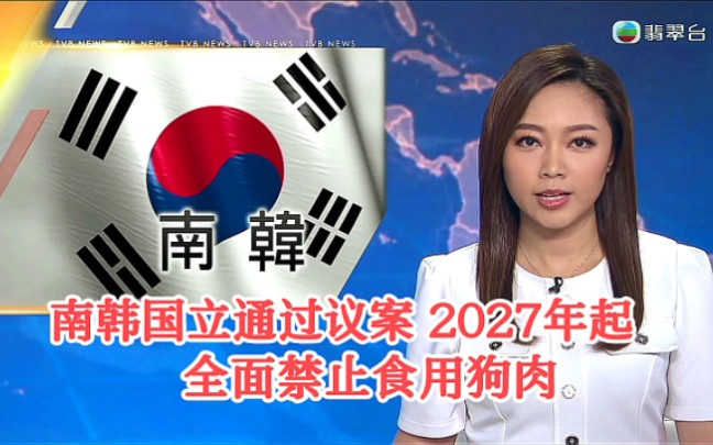 【TVB翡翠台】国际简讯:南韩国会通过议案 2027年起全面禁止食用狗肉哔哩哔哩bilibili